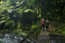 Uganda Safari Guides