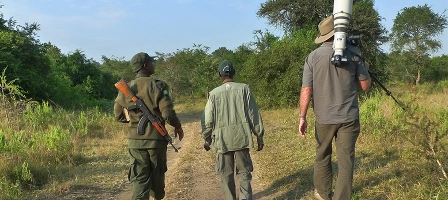 lake mburo walking safari - mburo game drive safari - Best of Uganda Wildlife Safari