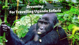 Dreaming For Travelling Uganda