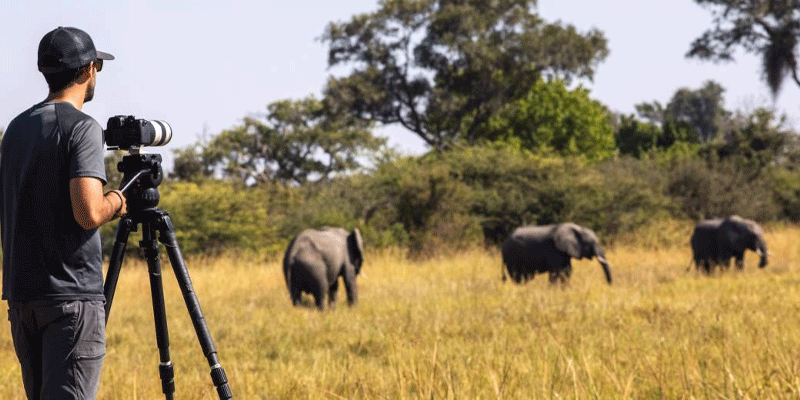 3-Day Northern Tanzania Safari
