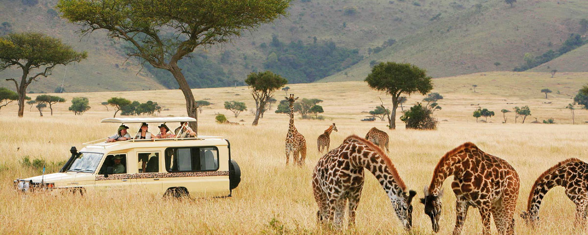 Northern Tanzania Safari